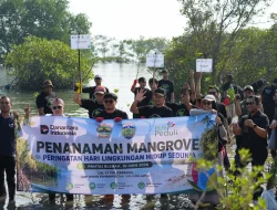 Peringati Hari Lingkungan Hidup Sedunia, PLN UIK Tanjung Jati B Tanam 5.000 Mangrove di Pantai Blebak