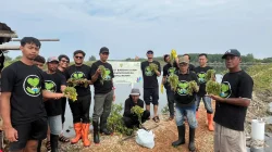 PLN UIK Tanjung Jati B Dorong Pemberdayaan Pesisir Lewat Demplot Budidaya Latoh di Pantai Blebak