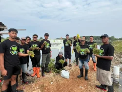 PLN UIK Tanjung Jati B Dorong Pemberdayaan Pesisir Lewat Demplot Budidaya Latoh di Pantai Blebak