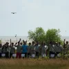 Sambut Hari Mangrove Sedunia, PLN UIK Tanjung Jati B Tanam 14.000 Mangrove di Pesisir Ujungwatu Jepara