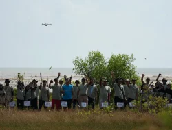 Sambut Hari Mangrove Sedunia, PLN UIK Tanjung Jati B Tanam 14.000 Mangrove di Pesisir Ujungwatu Jepara