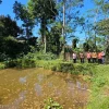 Atasi Kesulitan Benih, Pemkab Kendal Bangun Balai Benih Ikan di Sukorejo
