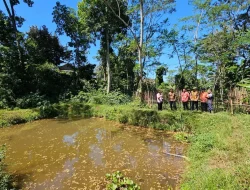 Atasi Kesulitan Benih, Pemkab Kendal Bangun Balai Benih Ikan di Sukorejo