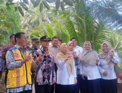 Rofik Hananto Bersama Bupati Banjarnegara Tinjau Proyek Jembatan Gantung Desa Luwung-Gumiwang