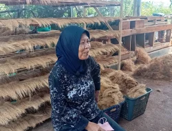 Kerajinan Sapu Sabut Kelapa Masaran Banjarnegara Sukses Tembus Ekspor