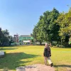 Bakal Dirombak Total Lewat CSR, Taman Belakang Pendopo Kudus Siap Disulap Jadi Ruang Ramah Anak