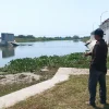Bendung Karet Sungai Juwana Bocor, Ribuan Hektare Sawah di Pati Terancam