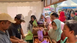 Efek Program Makan Bergizi Gratis Libur, Harga Telur dan Ayam Potong di Jepara Langsung Turun Bebas
