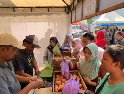 Efek Program Makan Bergizi Gratis Libur, Harga Telur dan Ayam Potong di Jepara Langsung Turun Bebas