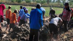 Perkuat Semangat Gotong Royong, KKN MIT UIN Walisongo Bantu Perluasan Area Makam di Desa Bogosari