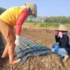 Pemkab Dorong Rembang Jadi Sentra Penghasil Bawang Merah Pantura