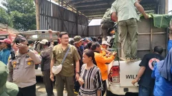 Macan Kumbang Masuk Rumah Warga Batang dan Mangsa Ternak, Begini Detik-Detik Evakuasinya